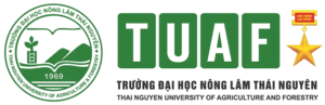 TUAF Logo